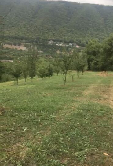 masazir torpaq: 300 sot, Biznes üçün, Mülkiyyətçi, Kupça (Çıxarış)