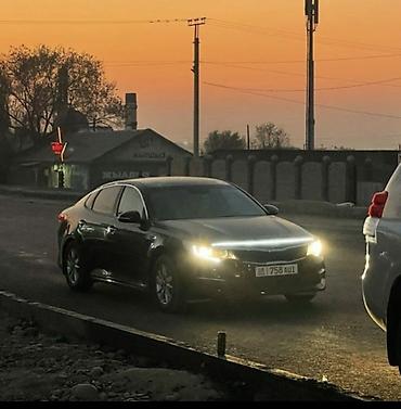 Kia: Kia Optima: 2018 г., 2.4 л, Типтроник, Бензин, Седан — 6