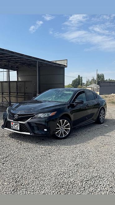 камри 44: Toyota Camry: 2020 г., 2.5 л, Автомат, Бензин, Седан — 2