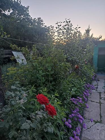 Продажа коттеджей и домов: Продаётся жилой дом с благоустроенными помещениями. - Кухня — 30