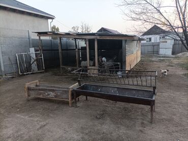 Продажа домов: Дом, 12 м², 4 комнаты, Собственник, Косметический ремонт at lalafo.kg — 7 Продажа домов: Дом, 12 м², 4 комнаты, Собственник, Косметический ремонт — 7