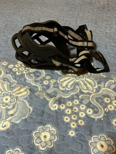 Xaltalar, qayışlar və tasmalar: İt aksesuarları dəsti, tek tek qiymetler qeyd edilib endirim yoxdur — 8