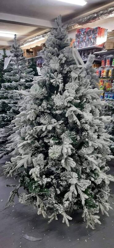 Novogodišnja jelka guste grane NOVO 
210cm - 11.200din

VK