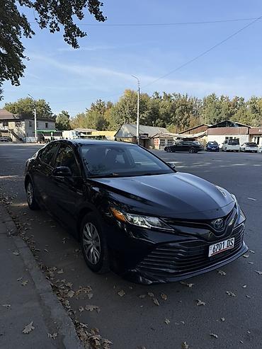 ford taurus: Toyota Camry: 2020 г., 2.5 л, Автомат, Гибрид, Седан — 2