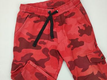 Trousers: Shorts for men, L (EU 40), condition - Good