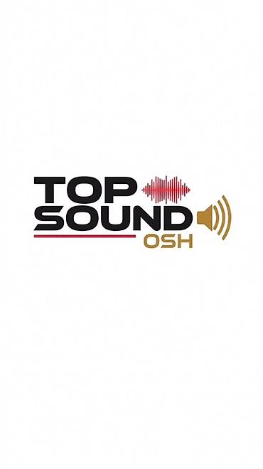 2 t: Аренда аппаратуры Той,Открытия,Шерине, Акустическая система Dynacord — 4