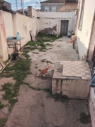 Həyət evləri və villaların satışı: M.Ə. Rəsulzadə qəs. 4 otaqlı, 70 kv. m, Təmirsiz -da lalafo.az — 8 Həyət evləri və villaların satışı: M.Ə. Rəsulzadə qəs. 4 otaqlı, 70 kv. m, Təmirsiz — 8