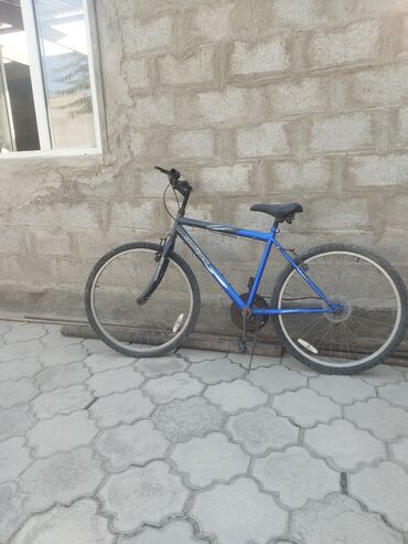 цунами фикс: Горный велосипед, Рама XL (180 - 195 см), Титан, Б/у