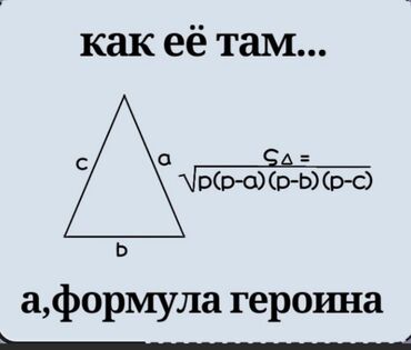 орт биология: Репетитор | Алгебра, геометрия | Подготовка к ОРТ (ЕГЭ), НЦТ​