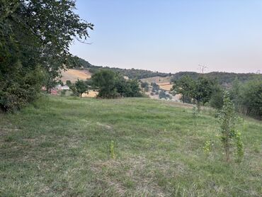 xacmazda satilan evler: 25 sot, Kupça (Çıxarış)