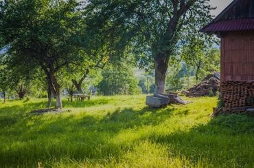 долгосрочная аренда 1 комната: 10 соток, Для бизнеса, Красная книга