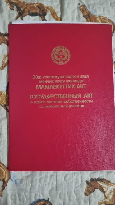 дом бишкек баят: 30 соток, Красная книга