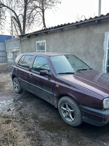 Volkswagen: Volkswagen Golf: 1993 г., 1.6 л, Механика, Бензин, Хэтчбэк