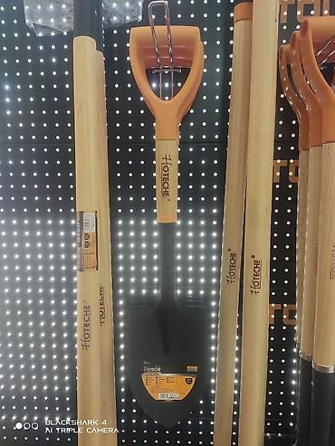 Вилы: Вилы, Платная доставка — 11