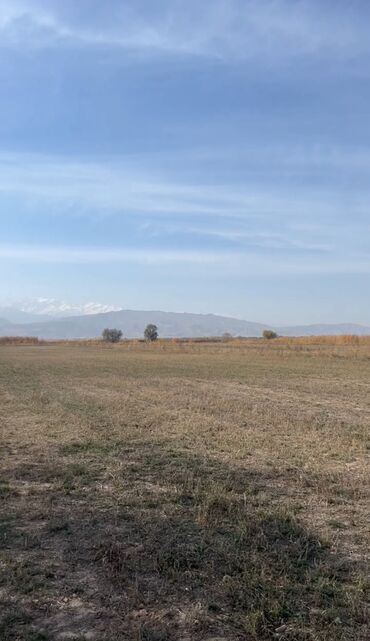 Продажа участков: 31 соток, Для строительства, Красная книга, Тех паспорт — 3