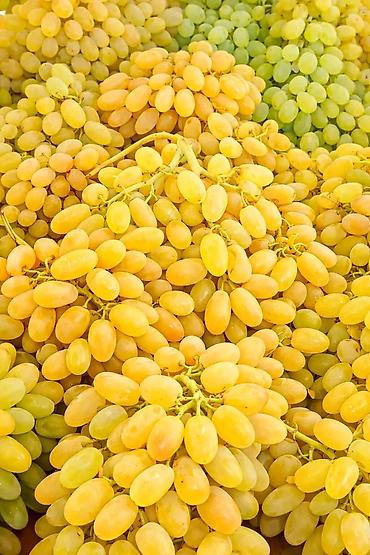 Meyvə və giləmeyvə: .üzüm tingləri satılır 070 2223552 zəng və vatsap çeşid çoxdur — 5