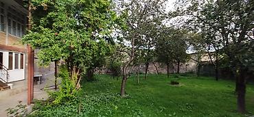 Həyət evləri və villaların satışı: Şəki şəhər Sabit Rəhman küç. dal6/8 — 4