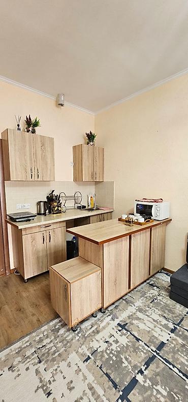 Продажа отелей и хостелов: Продаю коттедж в селе чок-тал центр отдыха париж 75м кв.общяя плошадь — 13