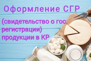 пакеты для одежды: Услуги сопровождения по получению СГР ( свидетельство о гос