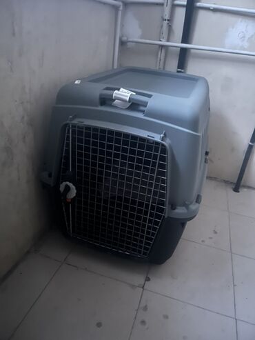 sort pişiklər: Böyük ölçülü heyvan daşıma boksu - Material: möhkəm plastik korpus