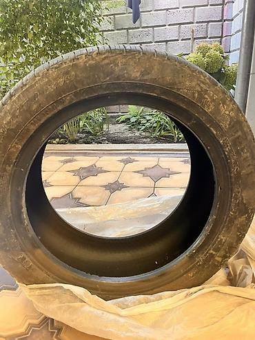 р 19: Комплект летних шин 255/50 R19 - Тип: летняя шина для легковых — 2