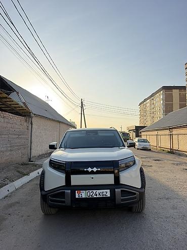 BYD: BYD FangChengBao Leopard 3: 2025 г., Автомат, Электромобиль, Внедорожник — 1