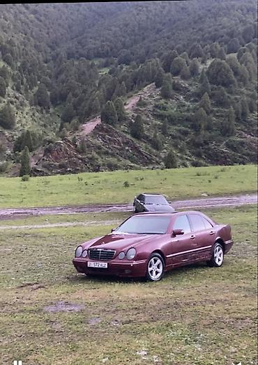 mers 210: Mercedes-Benz E-Class: 2001 г., 2.7 л, Автомат, Дизель, Седан — 8