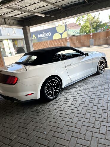 машина мустанг: Ford Mustang: 2021 г., 2.3 л, Типтроник, Бензин, Кабриолет