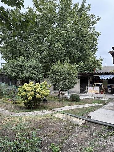 Продажа коттеджей и домов: 4 комнаты, 120 м², 5 соток, Бишкек, Аламединский рынок / базар Собственник — 13