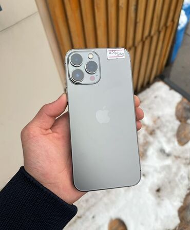 Apple iPhone: IPhone 13 Pro Max, 256 GB, Gümüşü, Zəmanət, Simsiz şarj, Face ID