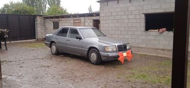 Mercedes-Benz: Mercedes-Benz W124: 1987 г., 2.3 л, Механика, Бензин, Кабриолет