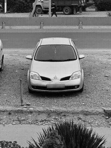 чехол для машины цена: Nissan Primera: 2003 г., 1.8 л, Автомат, Бензин, Седан