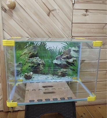 akvarium qizdirici: Akvaryum dəsti – şüşə akvarium və avadanlıqlar Komplekt: - Şüşə — 1