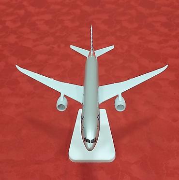 elmin: American Airlines təyyarə maketi – vitrin/masaüstü dekoru — 9