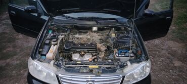 Nissan: Nissan Sunny: 1.6 l | 2008 il Sedan — 8