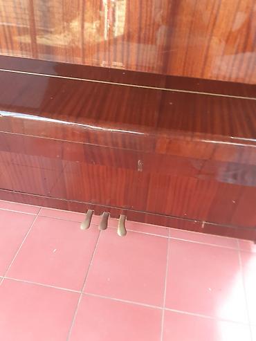 Pianolar: Piano, Belarus, Akustik — 7