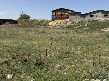 сельхоз земля: 50 соток, Айыл чарба үчүн, Кызыл китеп, Сатып алуу-сатуу келишими