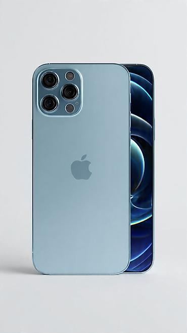 iphone 16 max: IPhone 12 Pro, цвет Pacific Blue - Экран 6.1" Super Retina XDR — 1