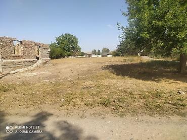 видео пантеры коттедж: 15 соток Для бизнеса — 1