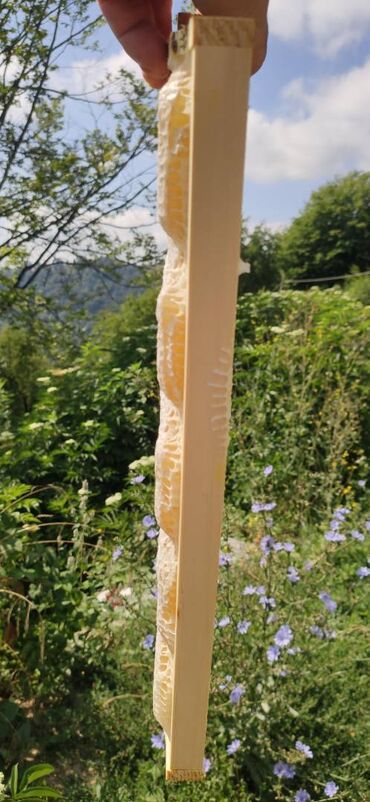 Bal: ELF BEE'S 1977 ECO-PRODUCT FOR HEALTH AND LONGEVITY Tovuzun -da lalafo.az — 3 Bal: ELF BEE'S 1977 ECO-PRODUCT FOR HEALTH AND LONGEVITY Tovuzun — 3