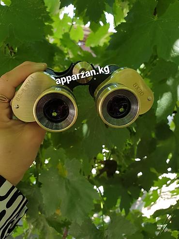 apparzan: Металлический Бинокль Маузер 8х30 — 4