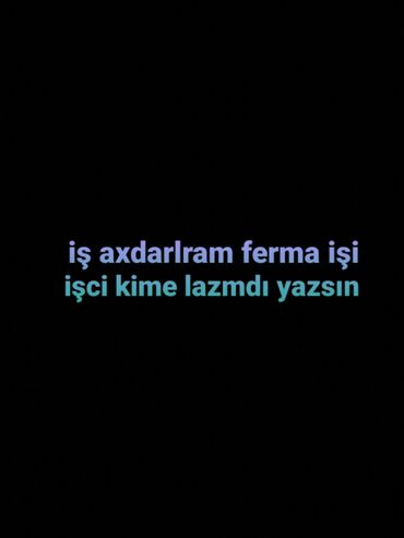 iş elanları sumqayıt 2020: Digər ixtisaslar