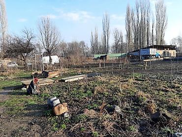 Долгосрочная аренда домов: Продаётся 2 жилых дома на одном участке в Петропавловке ул Фрунзе — 19