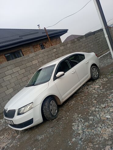 Skoda: Skoda Octavia: 2016 г., 1.6 л, Автомат, Бензин, Седан — 10