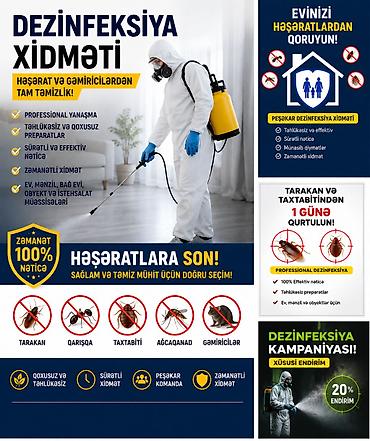 qarisqa: Dezinfeksiya xidməti Evinizi həşəratlarla bölüşməyin! 🪳 Tarakan 🛏️ — 1