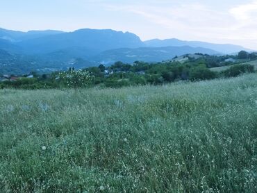 buzovna ev alqi satqisi: 22 sot, Kənd təsərrüfatı, Kupça (Çıxarış)