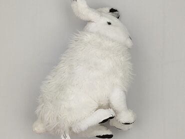 Mascot Rabbit, condition - Perfect