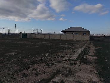 Torpaq sahələrinin satışı: Tikinti, Kupça (Çıxarış) — 3