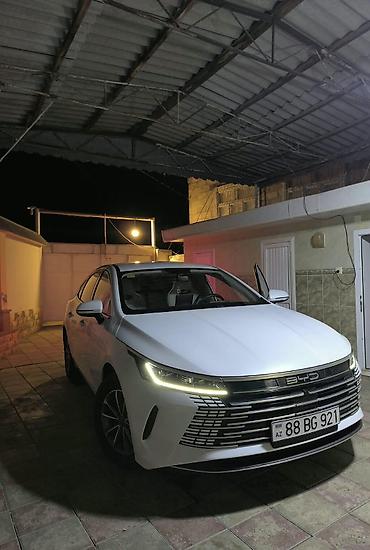 prado satisi: BYD Qin Plus: 1.5 l | 2025 il 19000 km Sedan — 4