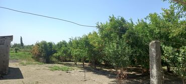 Həyət evləri və villaların satışı: 3 otaqlı, 100 kv. m, Orta təmir — 9